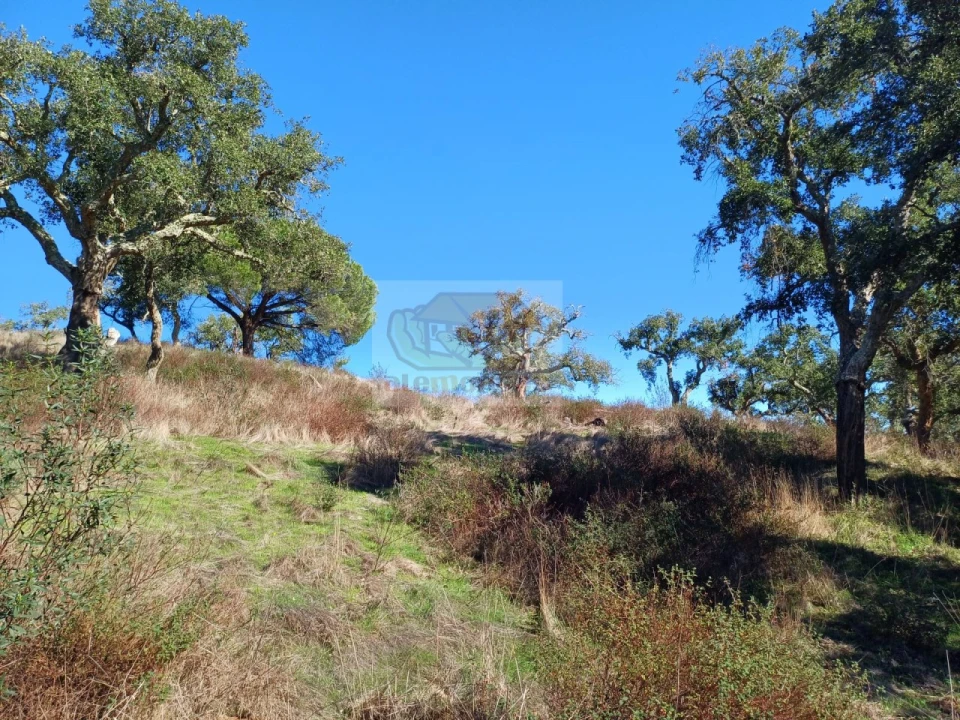 Terreno Agricola ou Rústico para Venda em São Francisco da Serra Foto 7