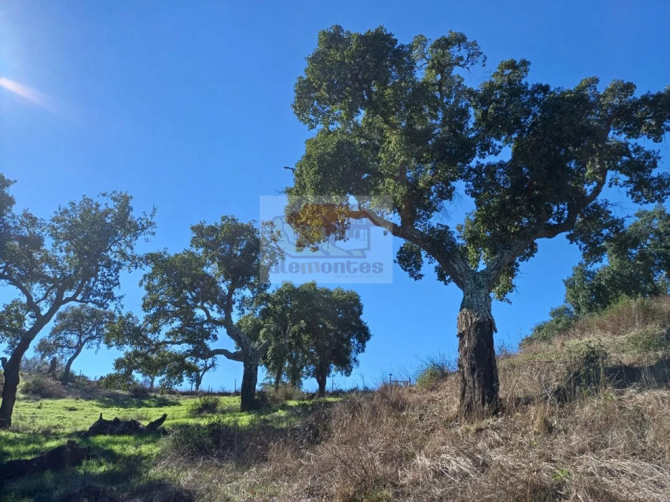 Terreno Agricola ou Rústico para Venda em São Francisco da Serra Foto 10