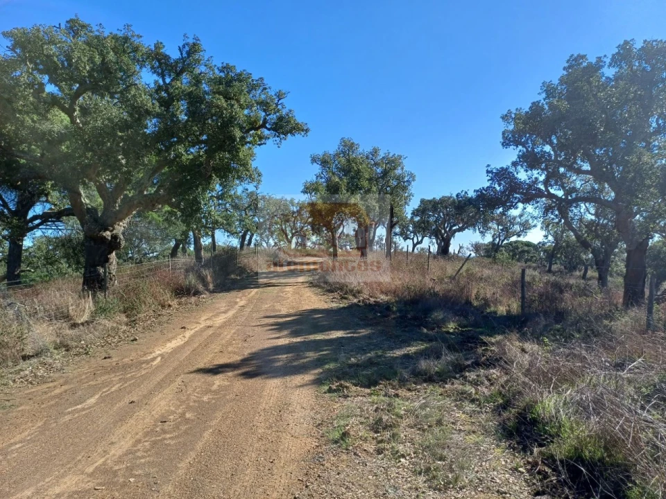 Terreno Agricola ou Rústico para Venda em São Francisco da Serra Foto 2