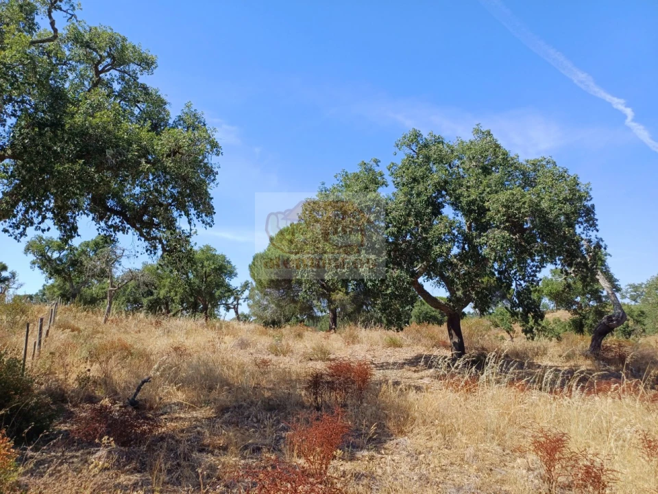 Terreno Agricola ou Rústico para Venda em São Francisco da Serra Foto 2