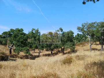 Terreno Agricola ou Rústico para Venda em São Francisco da Serra