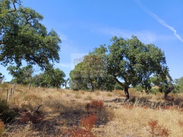 Terreno Agricola ou Rústico para Venda em São Francisco da Serra