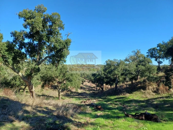 Terreno Agricola ou Rústico para Venda em São Francisco da Serra Foto 4