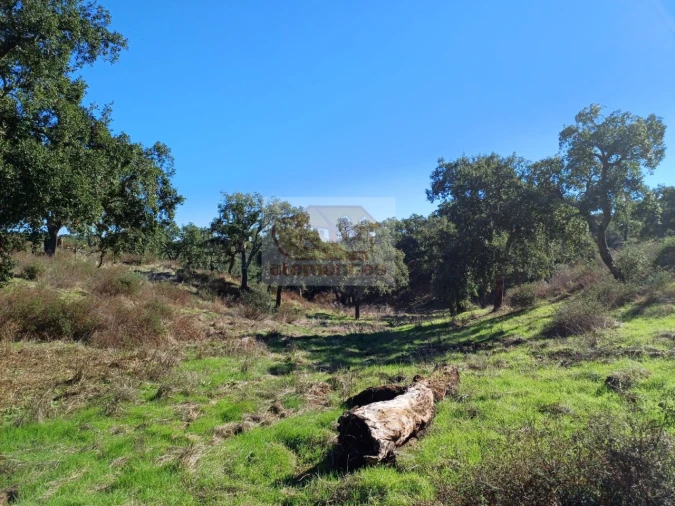 Terreno Agricola ou Rústico para Venda em São Francisco da Serra Foto 8