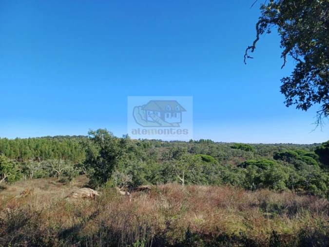 Terreno Agricola ou Rústico para Venda em São Francisco da Serra Foto 13