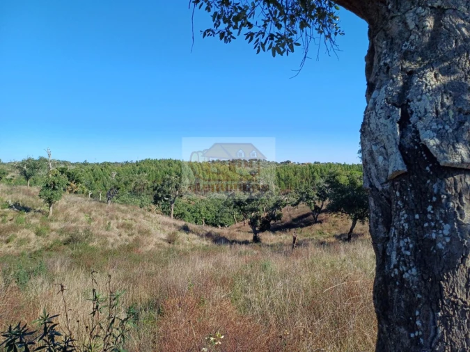 Terreno Agricola ou Rústico para Venda em São Francisco da Serra Foto 3