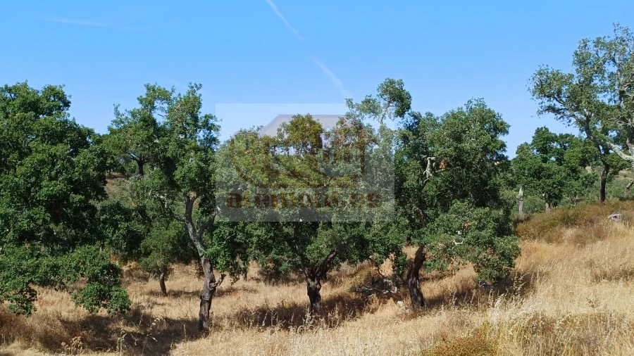 Terreno Agricola ou Rústico para Venda em São Francisco da Serra