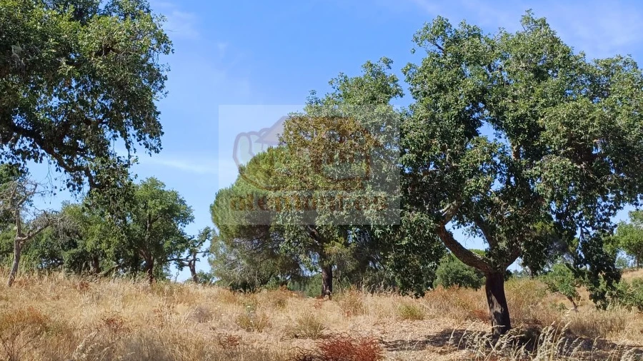 Terreno Agricola ou Rústico para Venda em São Francisco da Serra