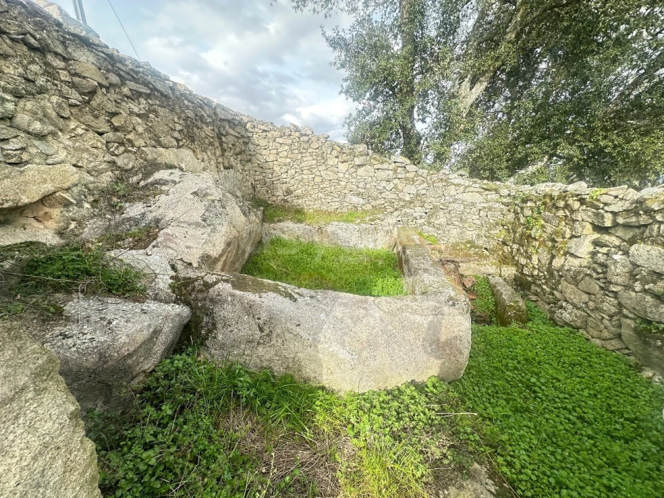 Quinta para Venda em Lousa Foto 5