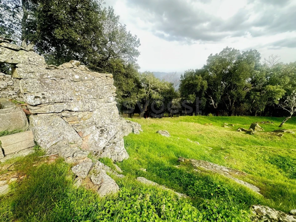 Quinta para Venda em Lousa Foto 6