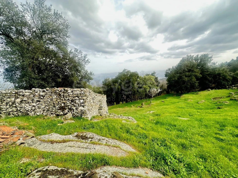 Quinta para Venda em Lousa Foto 8