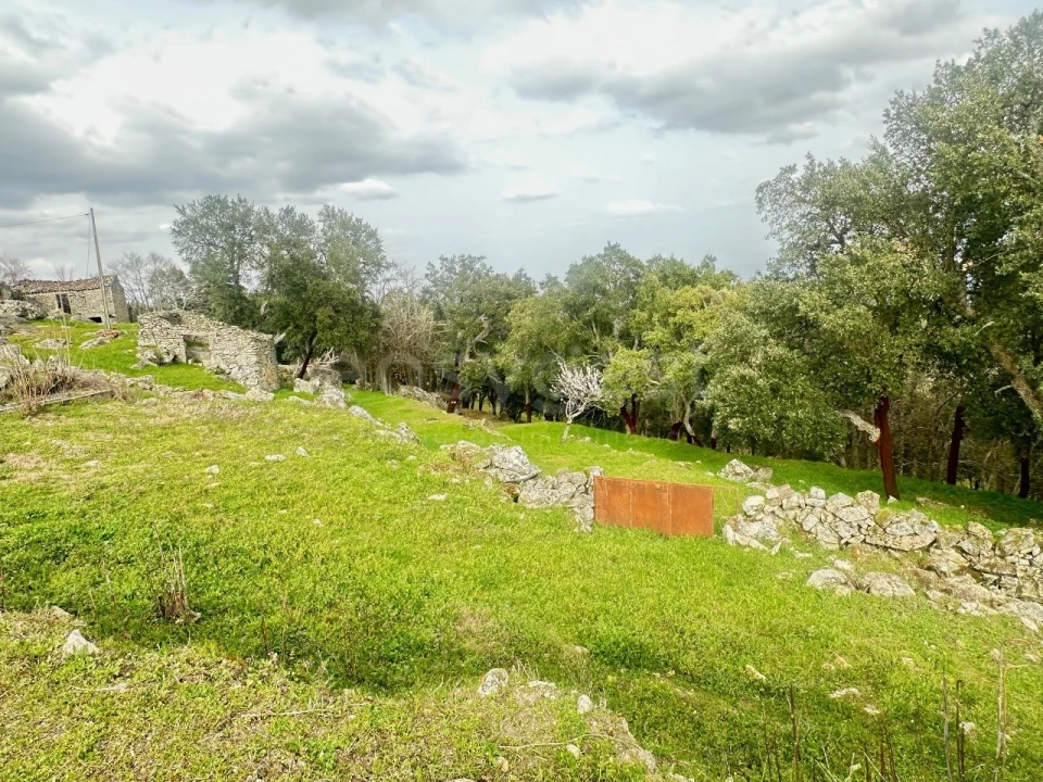 Quinta para Venda em Lousa Foto 10