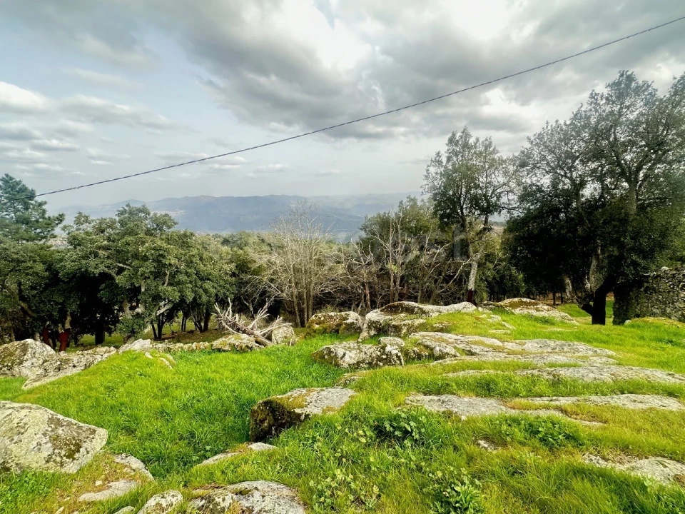 Quinta para Venda em Lousa Foto 12