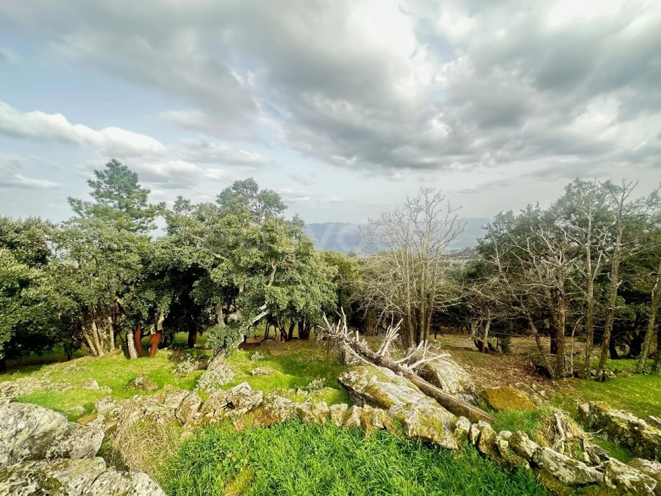 Quinta para Venda em Lousa Foto 14