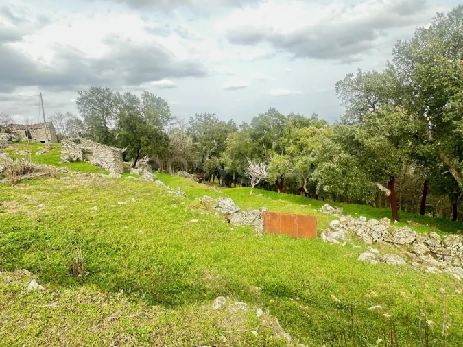 Quinta para Venda em Lousa Foto 10