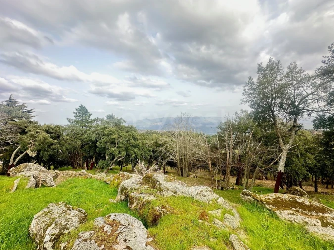 Quinta para Venda em Lousa Foto 13