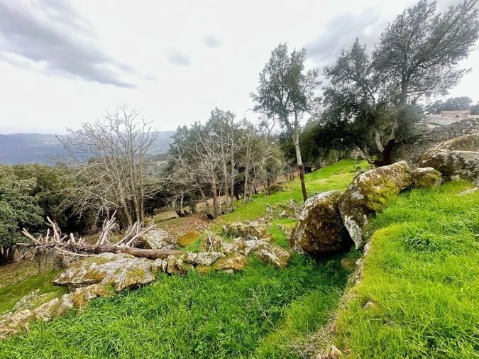 Quinta para Venda em Lousa Foto 15