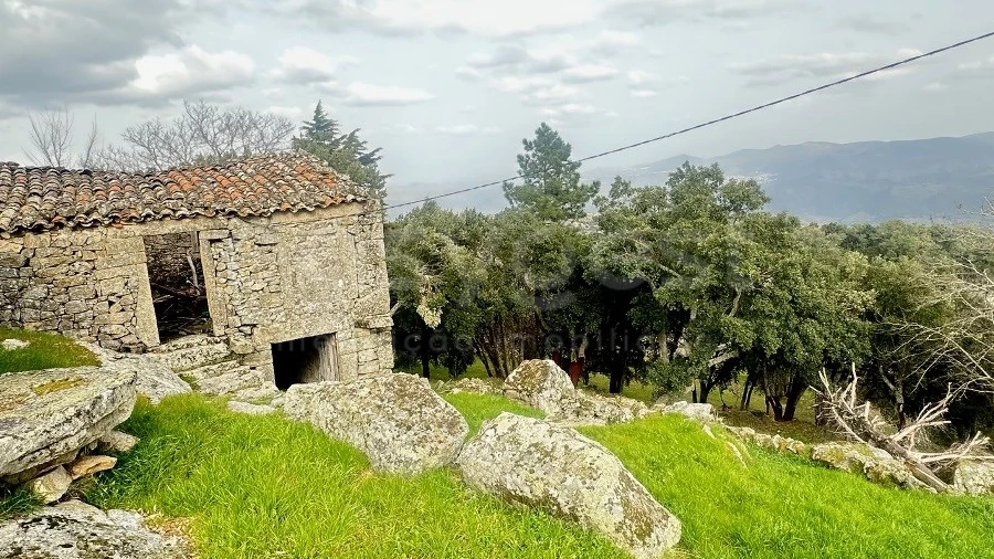 Quinta para Venda em Lousa