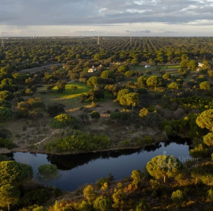 Quinta T5 para Venda em Vendas Novas Foto 4