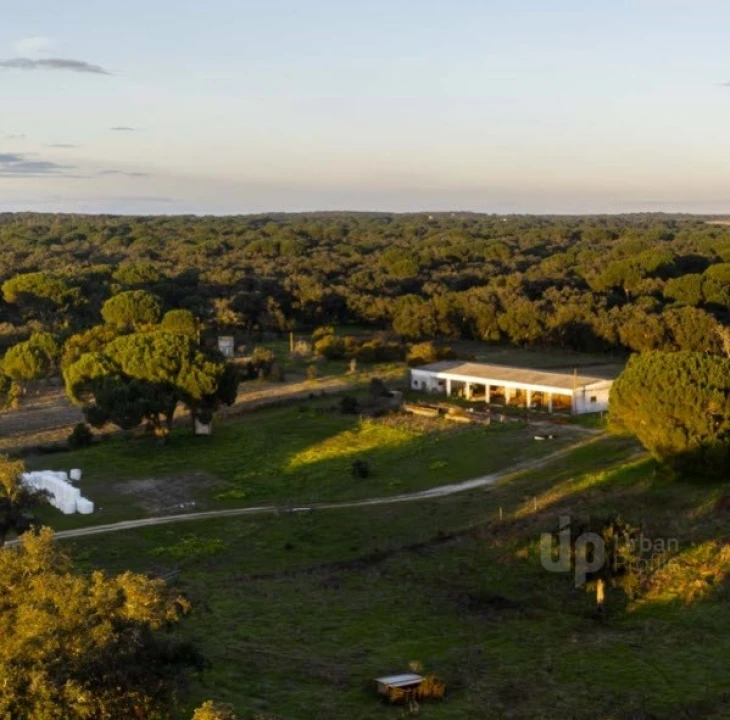 Quinta T5 para Venda em Vendas Novas Foto 5