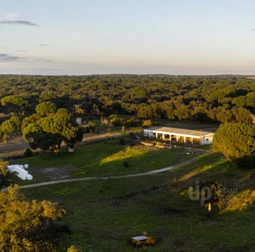 Quinta T5 para Venda em Vendas Novas Foto 5