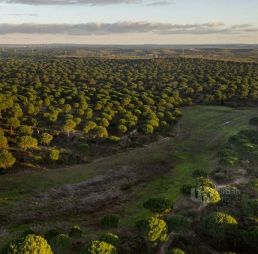 Quinta T5 para Venda em Vendas Novas Foto 6