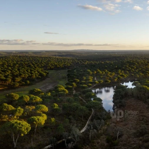 Quinta T5 para Venda em Vendas Novas Foto 7