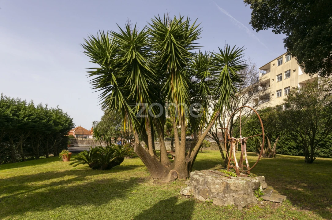 Apartamento T3 para Arrendamento em Paranhos Foto 5