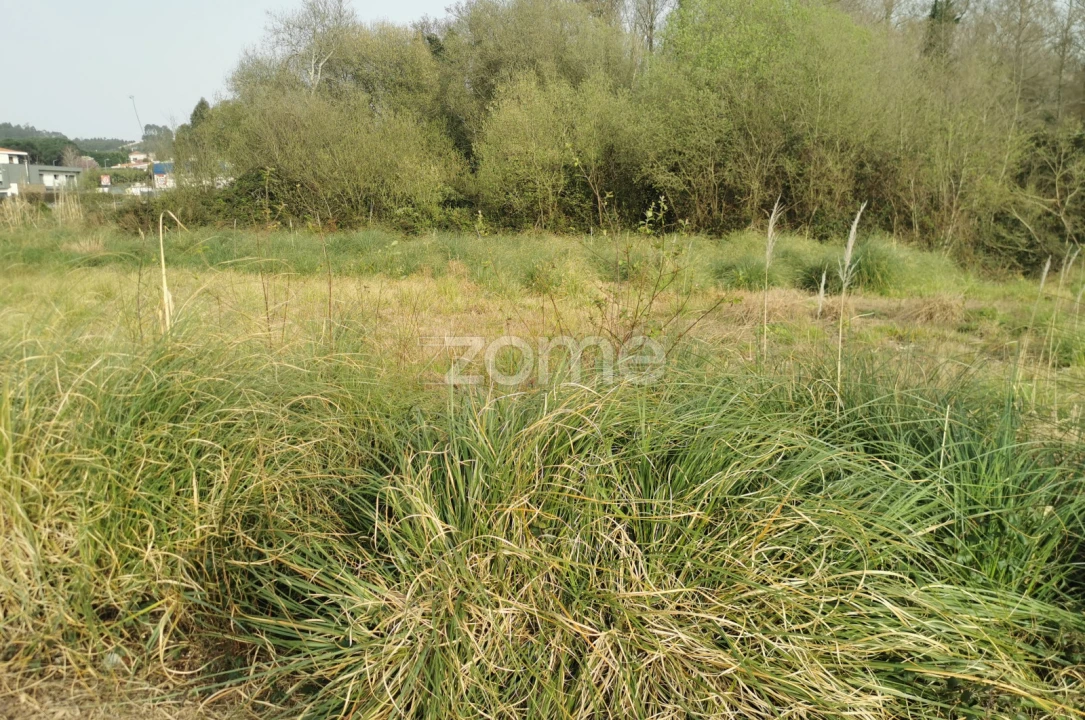 Terreno para Venda em Serzedo e Perosinho Foto 9