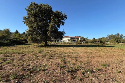 Terreno para Venda em Dossãos