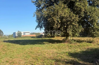 Terreno para Venda em Dossãos
