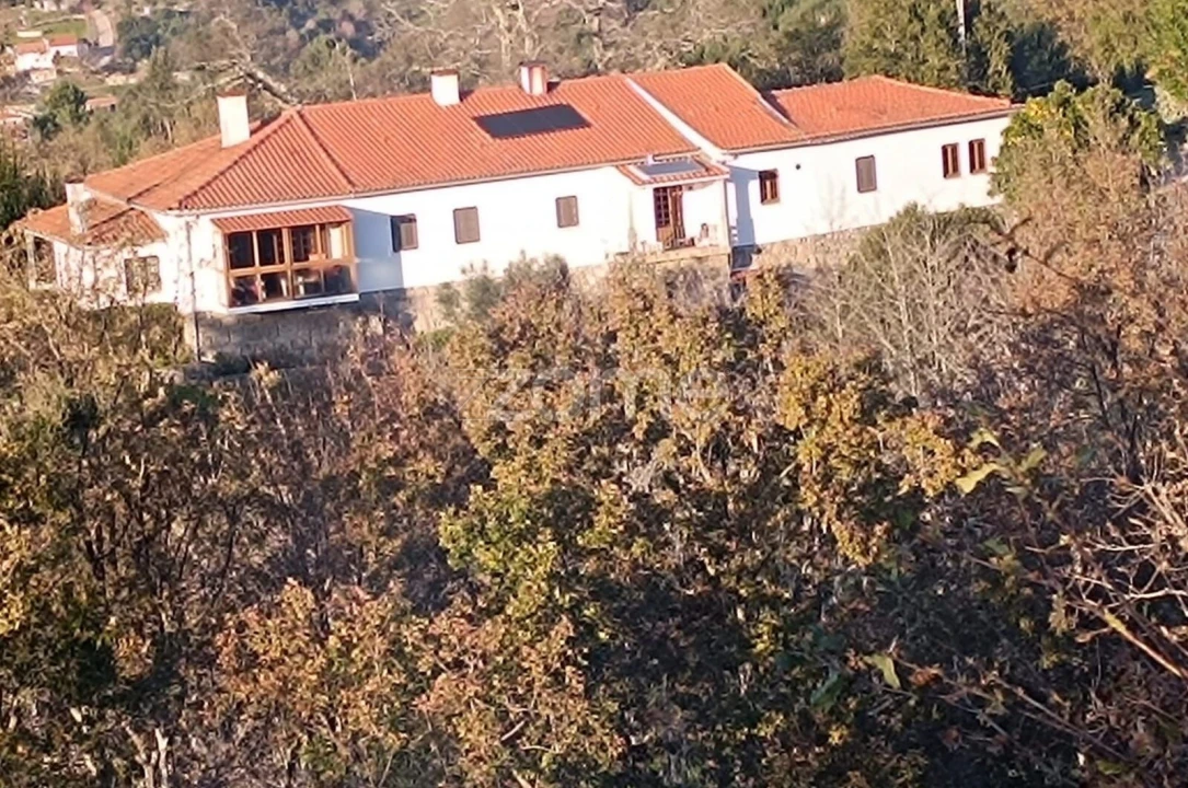 Quinta T6 para Venda em Nogueira do Cravo Foto 3