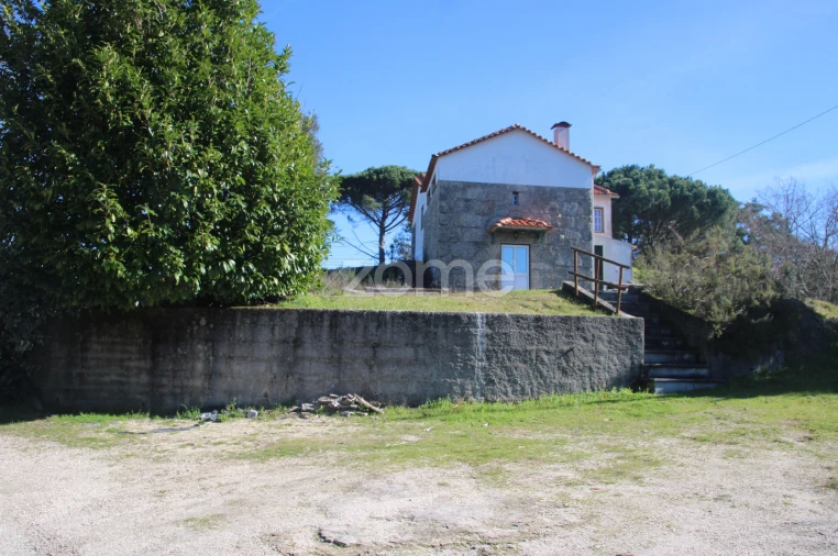 Quinta T6 para Venda em Nogueira do Cravo Foto 12