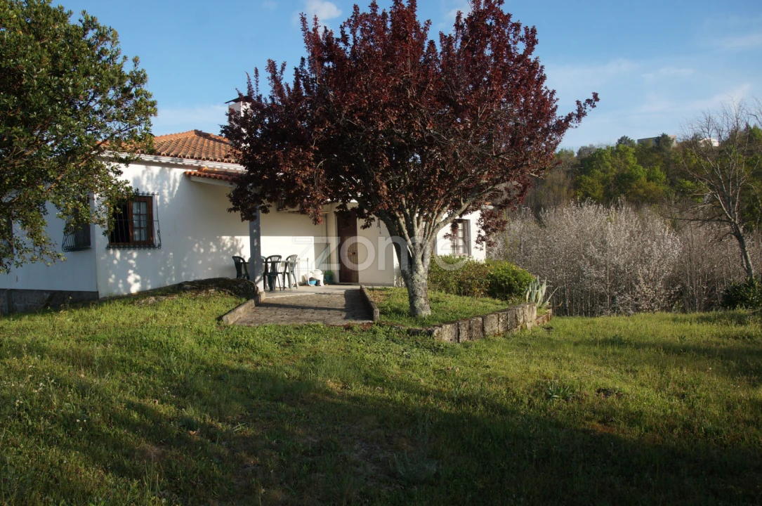 Quinta T6 para Venda em Nogueira do Cravo Foto 7