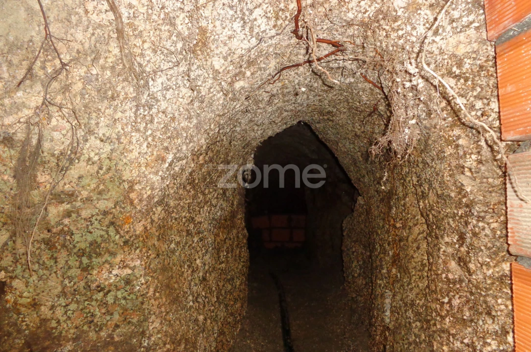 Quinta T6 para Venda em Nogueira do Cravo Foto 8