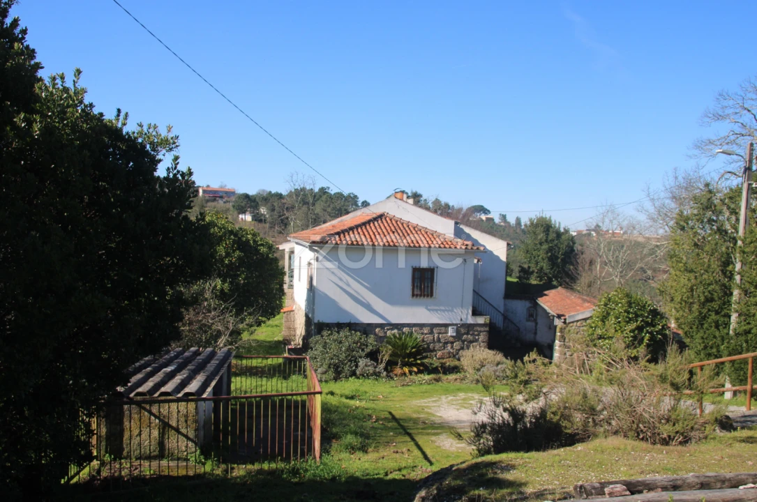 Quinta T6 para Venda em Nogueira do Cravo Foto 13