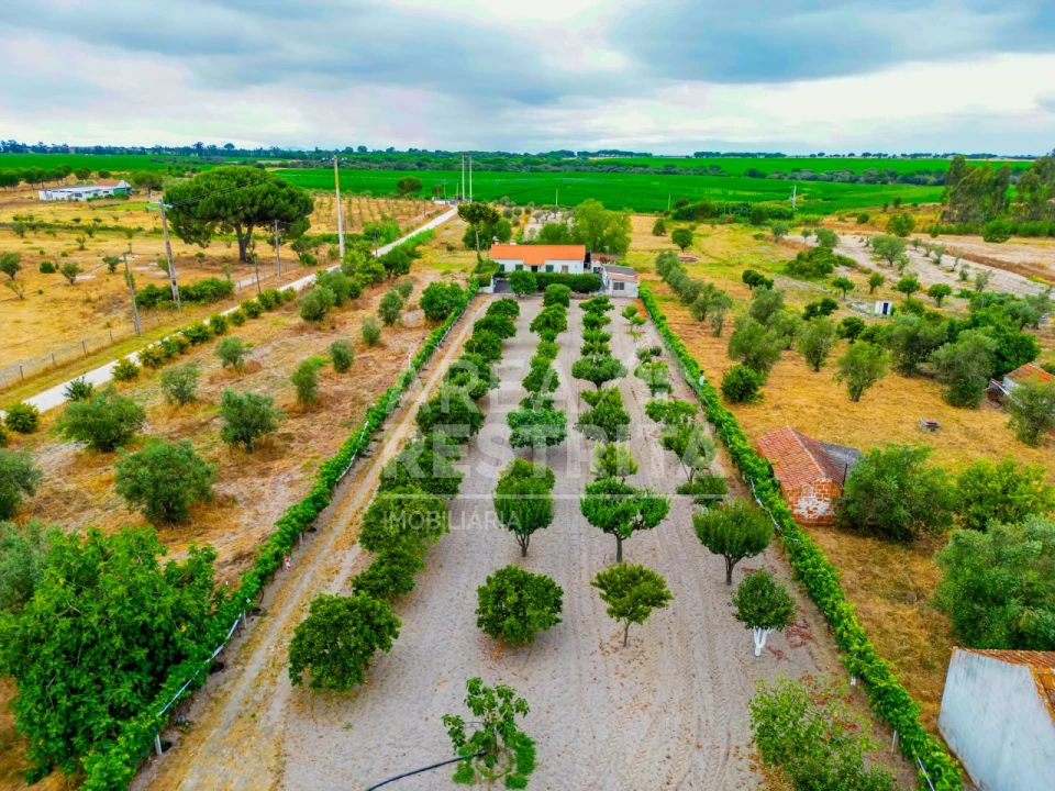 Moradia T3 para Venda em Canha Foto 6