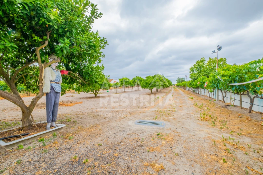 Moradia T3 para Venda em Canha Foto 31