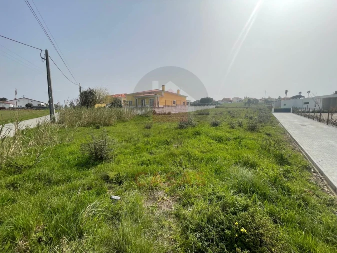 Moradia T3 para Venda em Nadadouro Foto 8