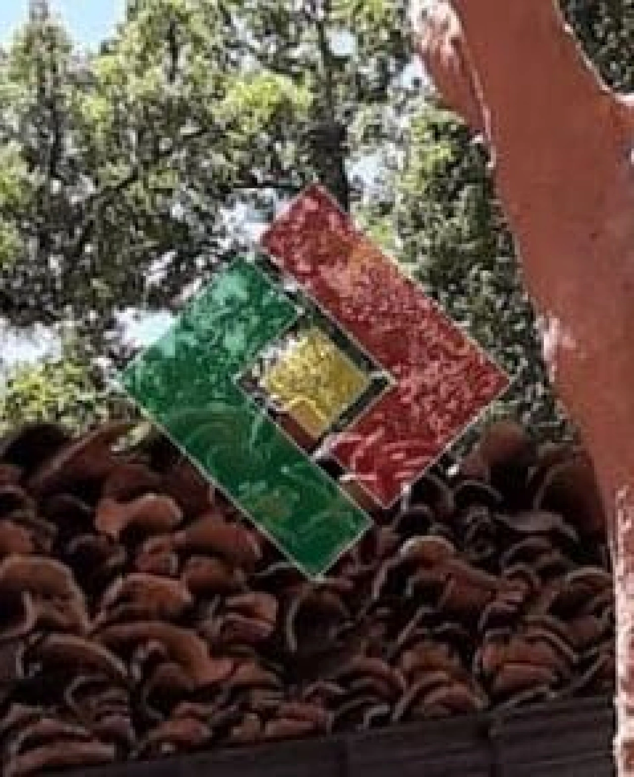 Terreno Agricola ou Rústico para Venda em Montargil Foto 5