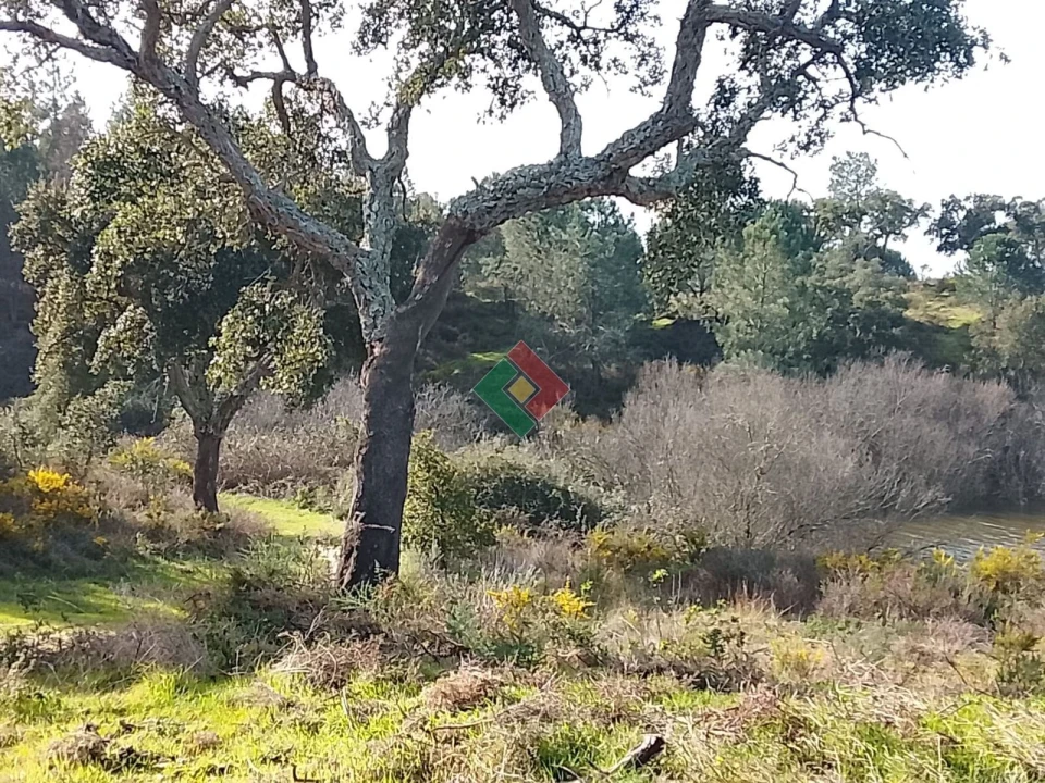 Terreno Agricola ou Rústico para Venda em Montargil Foto 14