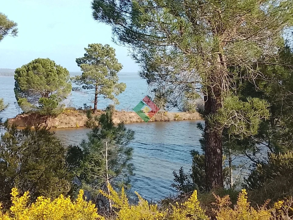 Terreno Agricola ou Rústico para Venda em Montargil Foto 15