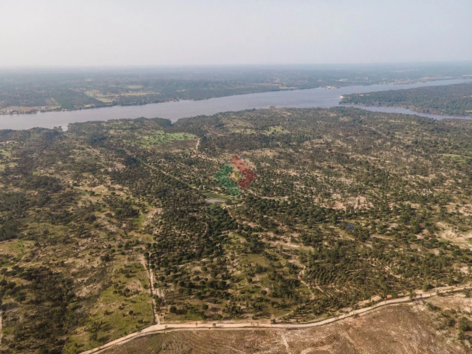 Terreno Agricola ou Rústico para Venda em Montargil Foto 18