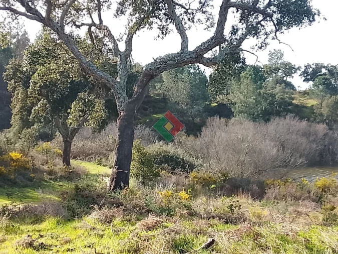 Terreno Agricola ou Rústico para Venda em Montargil Foto 14