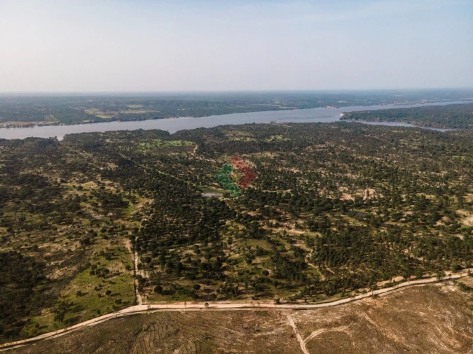Terreno Agricola ou Rústico para Venda em Montargil Foto 16