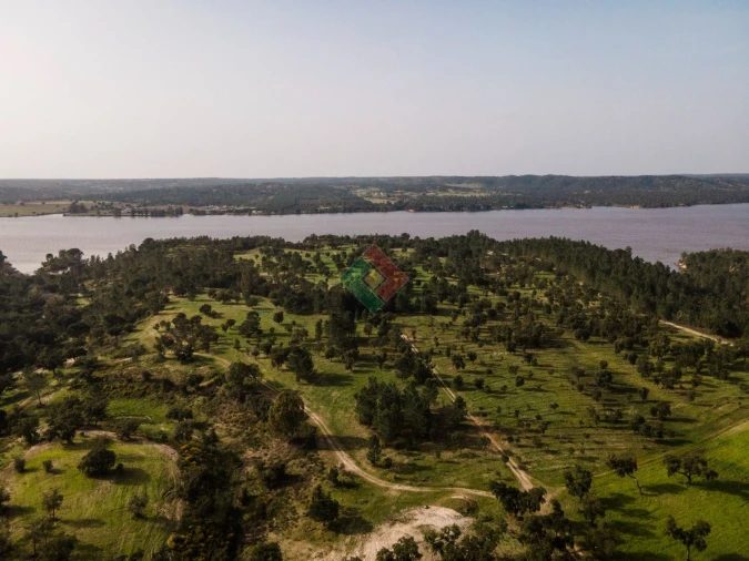 Terreno Agricola ou Rústico para Venda em Montargil Foto 17