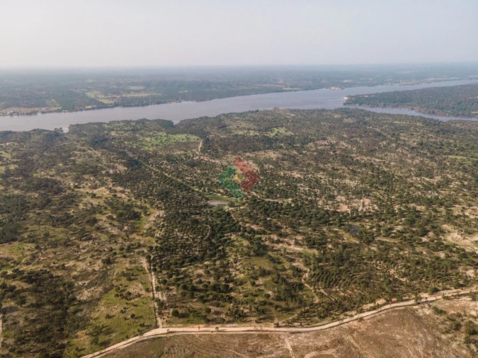 Terreno Agricola ou Rústico para Venda em Montargil Foto 18