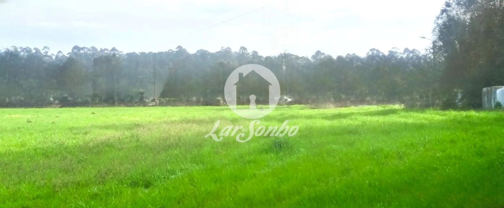 Terreno para Venda em Gemeses Foto 3