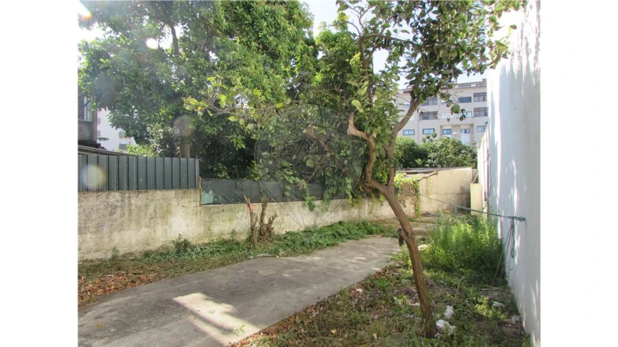 Loja para Venda em Glória e Vera Cruz Foto 2