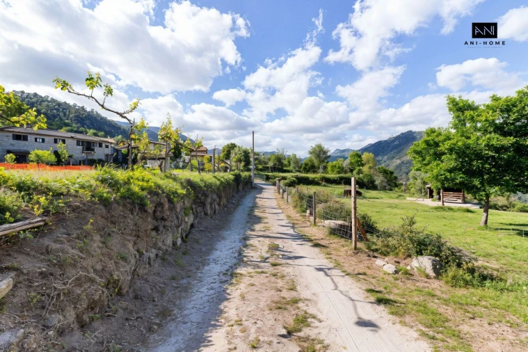 Terreno para Venda em Rio Caldo Foto 10